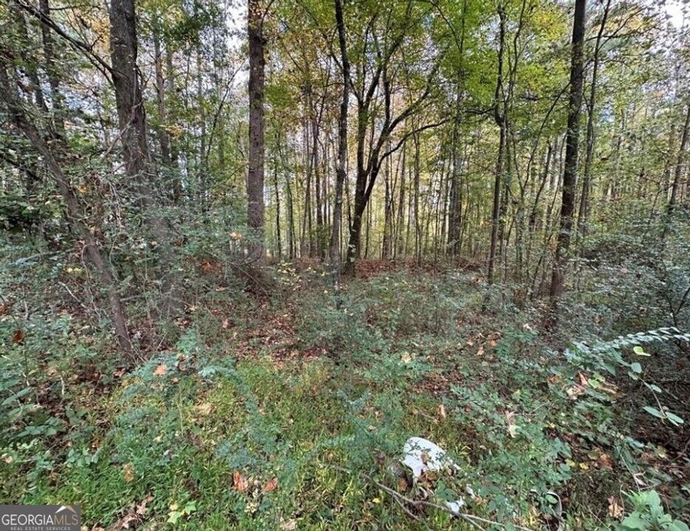 0 Villa Rica Highway, Dallas, GA 30157 — photo 5