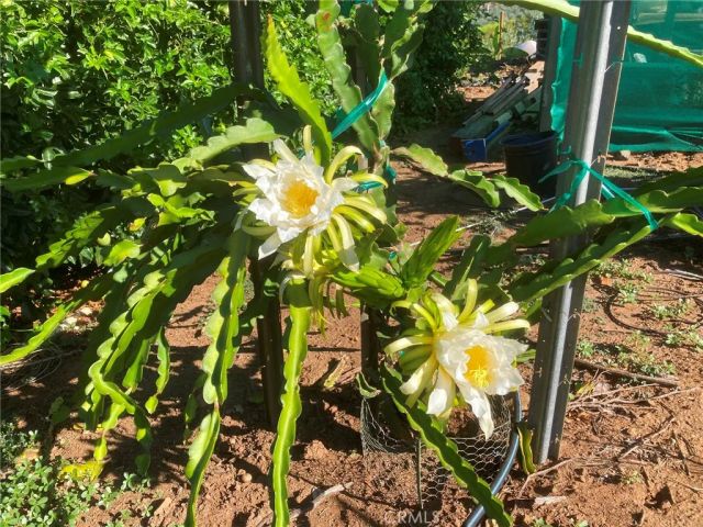 16 Sandia Creek, Temecula, CA 92590