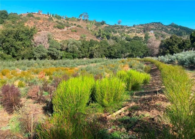 16 Sandia Creek, Temecula, CA 92590