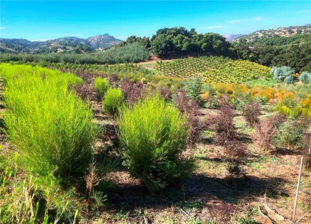 16 Sandia Creek, Temecula, CA 92590