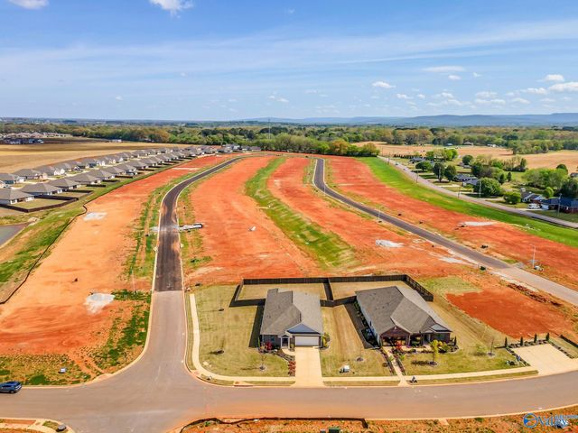 118 Lillian Farms Boulevard, Huntsville, AL 35811
