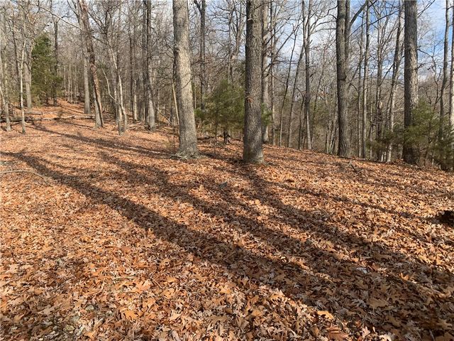 32.87 Acres Slate Gap Road, Garfield, AR 72732