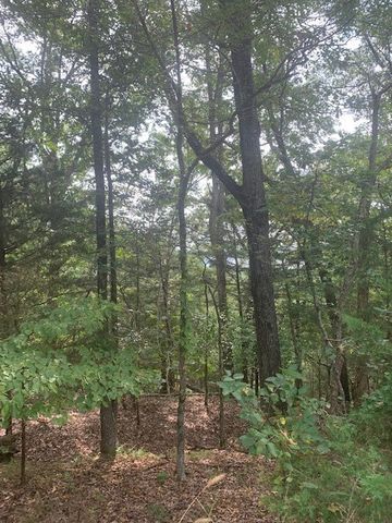 32.87 Acres Slate Gap Road, Garfield, AR 72732