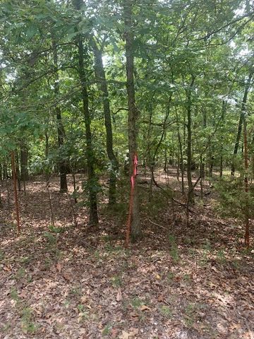 32.87 Acres Slate Gap Road, Garfield, AR 72732