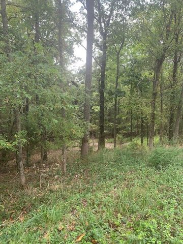 32.87 Acres Slate Gap Road, Garfield, AR 72732