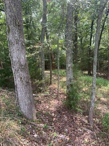 32.87 Acres Slate Gap Road, Garfield, AR 72732