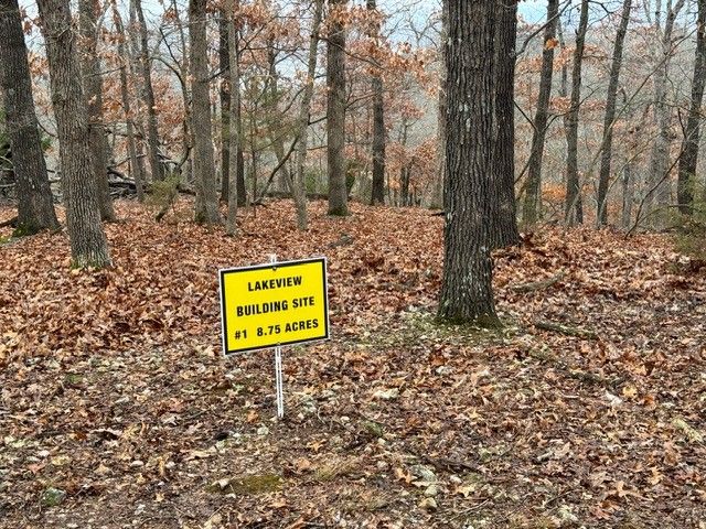 32.87 Acres Slate Gap Road, Garfield, AR 72732