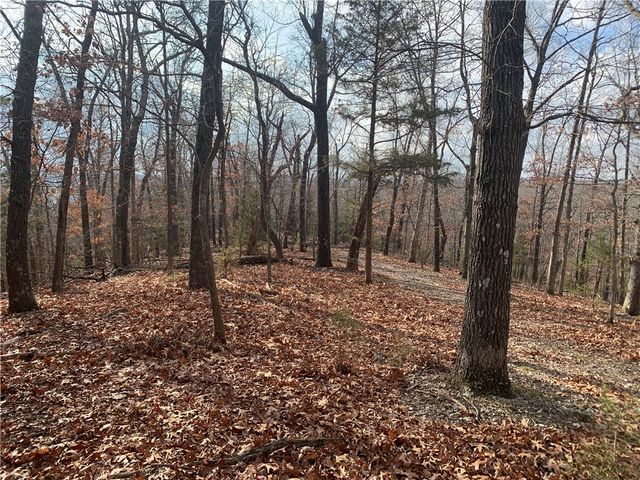 32.87 Acres Slate Gap Road, Garfield, AR 72732