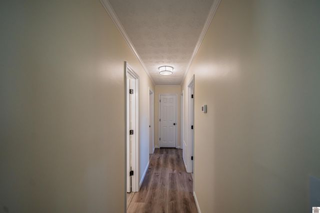 316 Loretta Dr, Ledbetter, KY 42058