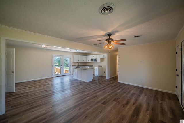 316 Loretta Dr, Ledbetter, KY 42058