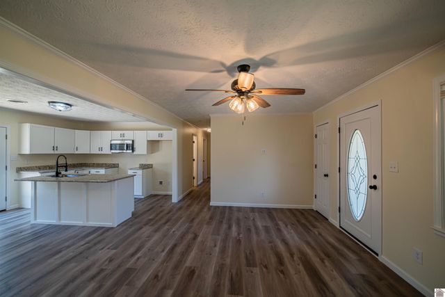 316 Loretta Dr, Ledbetter, KY 42058