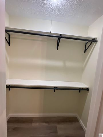 316 Loretta Dr, Ledbetter, KY 42058