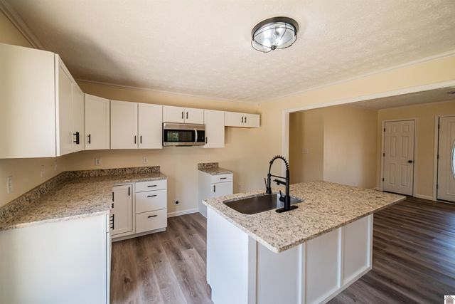 316 Loretta Dr, Ledbetter, KY 42058