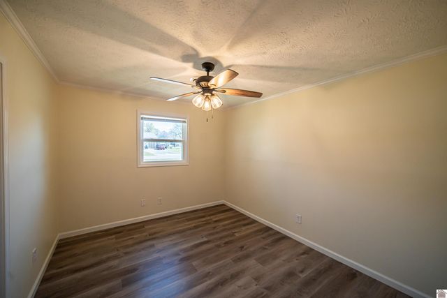 316 Loretta Dr, Ledbetter, KY 42058