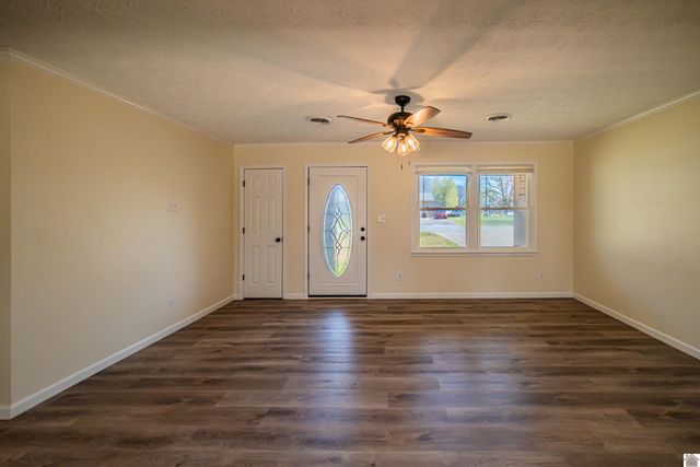 316 Loretta Dr, Ledbetter, KY 42058