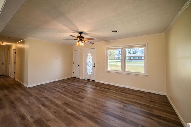 316 Loretta Dr, Ledbetter, KY 42058