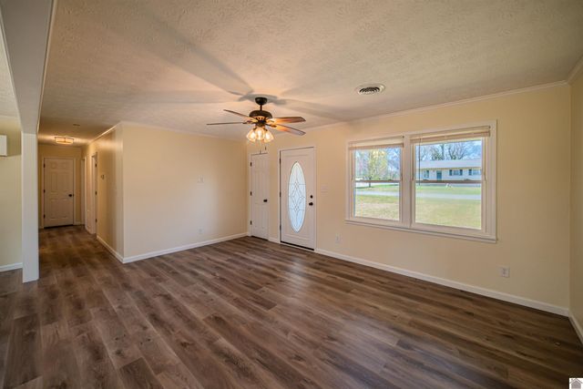 316 Loretta Dr, Ledbetter, KY 42058