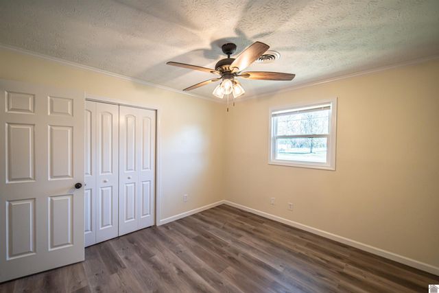 316 Loretta Dr, Ledbetter, KY 42058