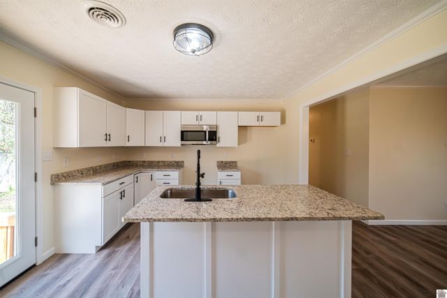 316 Loretta Dr, Ledbetter, KY 42058