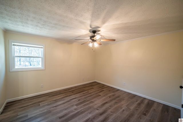 316 Loretta Dr, Ledbetter, KY 42058