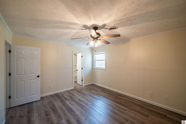 316 Loretta Dr, Ledbetter, KY 42058