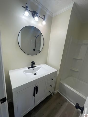 316 Loretta Dr, Ledbetter, KY 42058