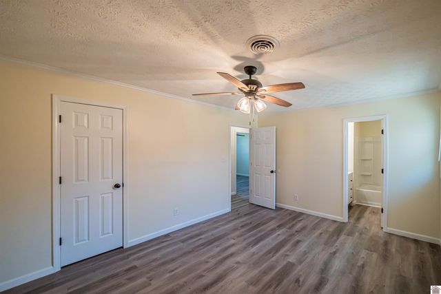 316 Loretta Dr, Ledbetter, KY 42058