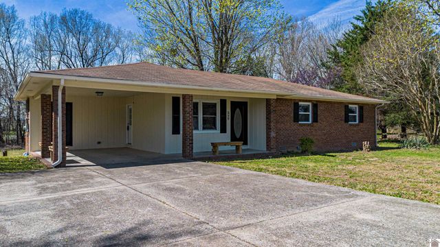 316 Loretta Dr, Ledbetter, KY 42058