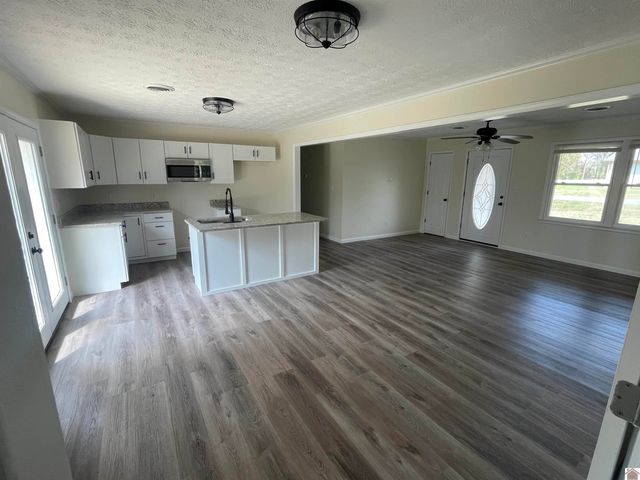 316 Loretta Dr, Ledbetter, KY 42058