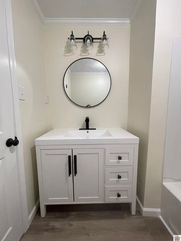 316 Loretta Dr, Ledbetter, KY 42058