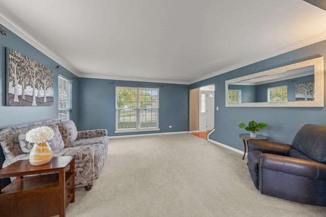 13521 Arborview Circle, Plainfield, IL 60585