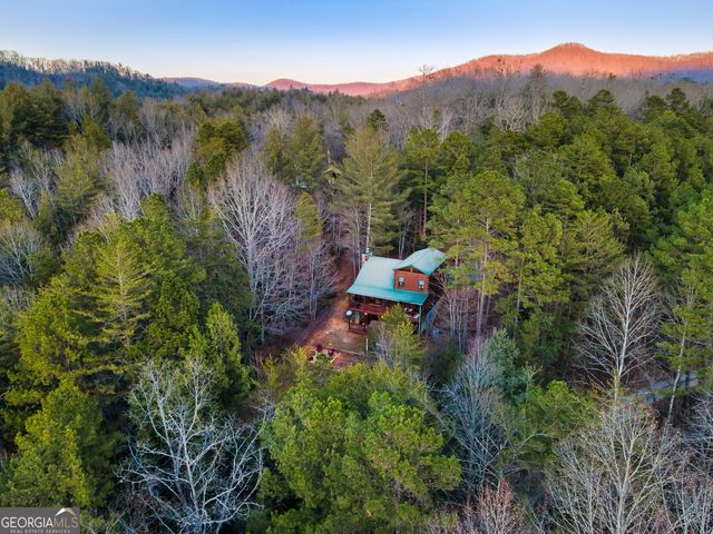 239 Ernest Alta Circle, Blue Ridge, GA 30513