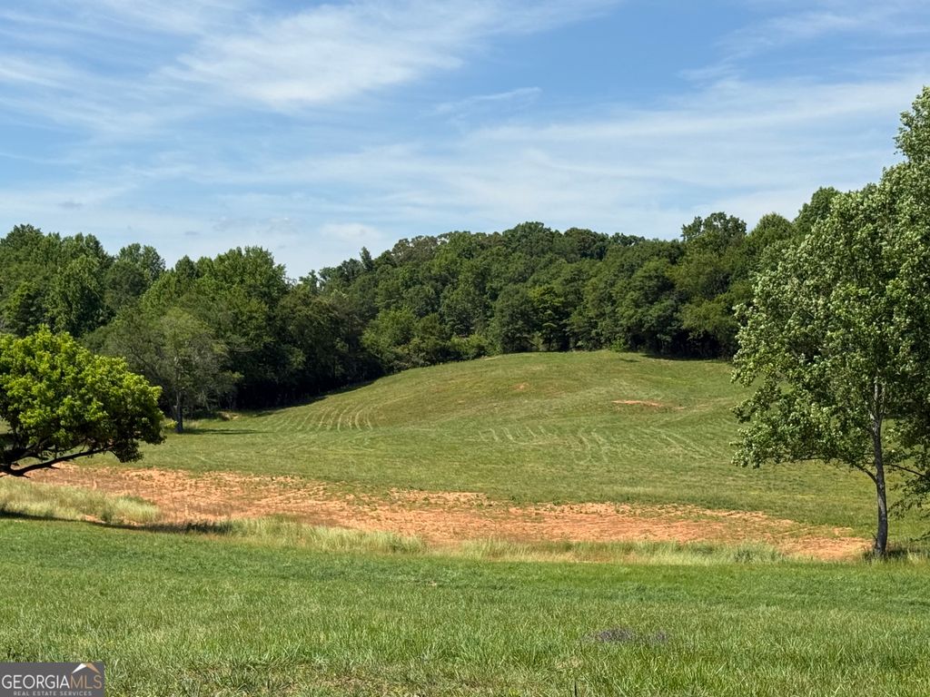 603 Wall Bridge Road, Clarkesville, GA 30523 — exterior