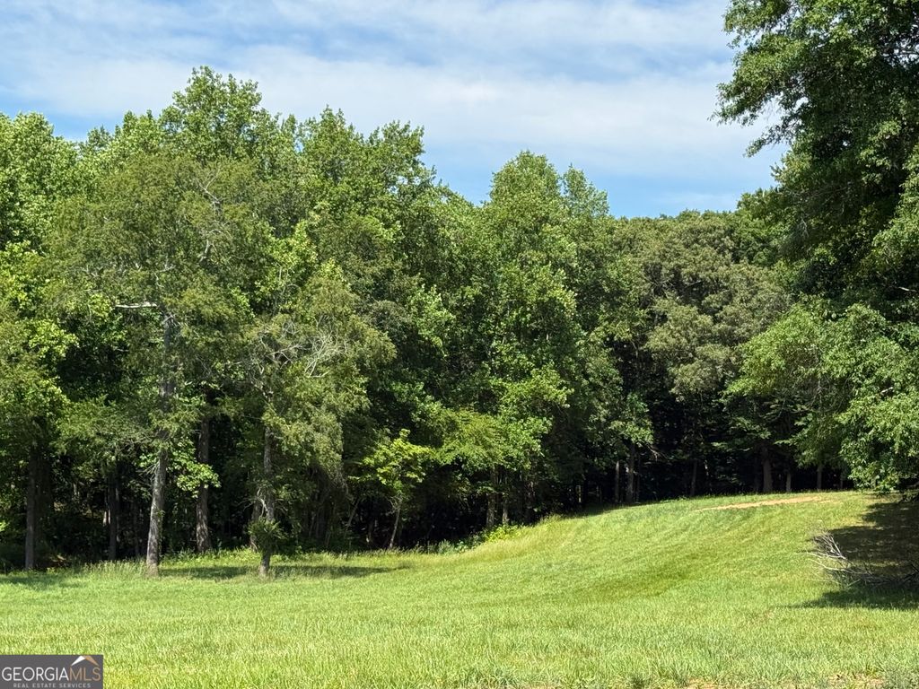 603 Wall Bridge Road, Clarkesville, GA 30523 — photo 3