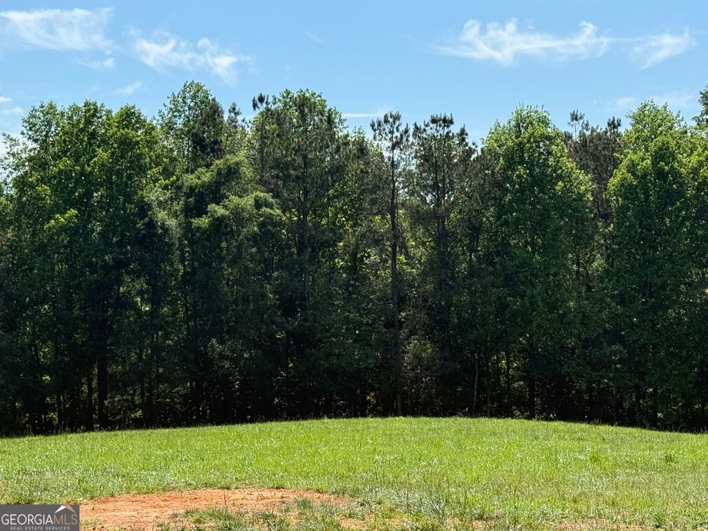 603 Wall Bridge Road, Clarkesville, GA 30523 — photo 5