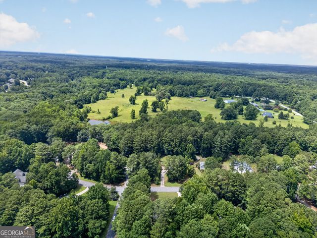 60 Tyler Woods Drive, Sharpsburg, GA 30277