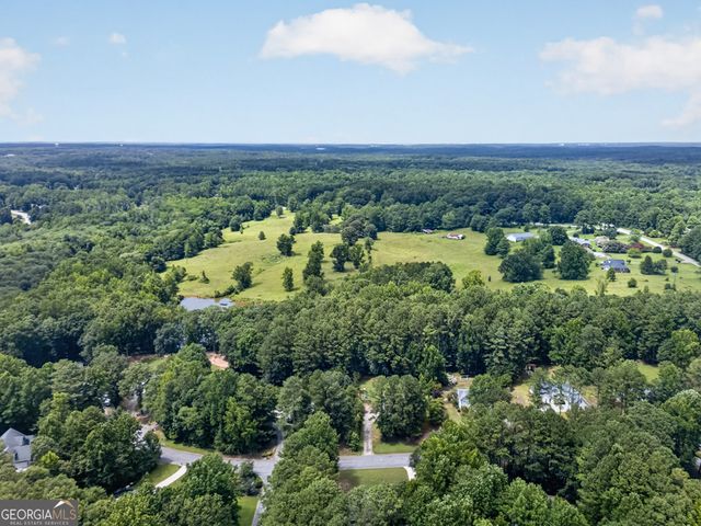 60 Tyler Woods Drive, Sharpsburg, GA 30277