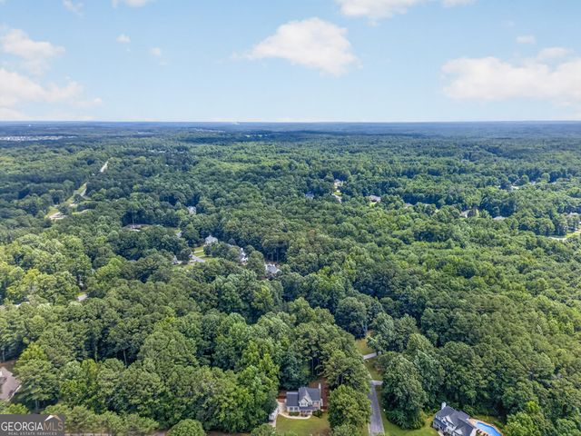 60 Tyler Woods Drive, Sharpsburg, GA 30277