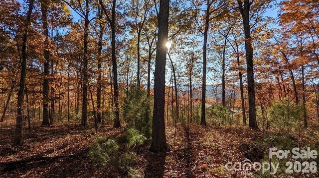 512 Wild River Run 65, Marshall, NC 28753