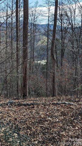 512 Wild River Run 65, Marshall, NC 28753