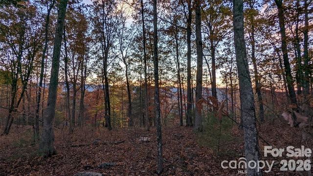 512 Wild River Run 65, Marshall, NC 28753