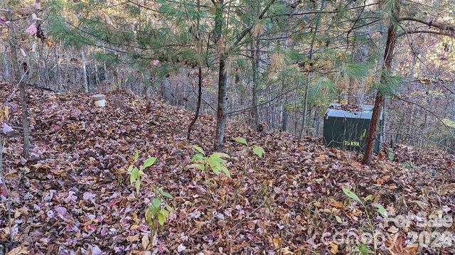 512 Wild River Run 65, Marshall, NC 28753