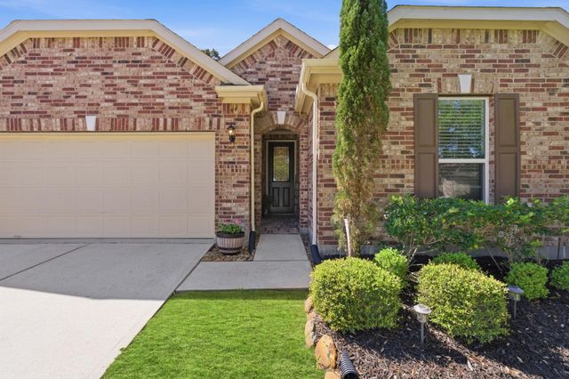 3965 Eagle Nest Lake Lane, Magnolia, TX 77354