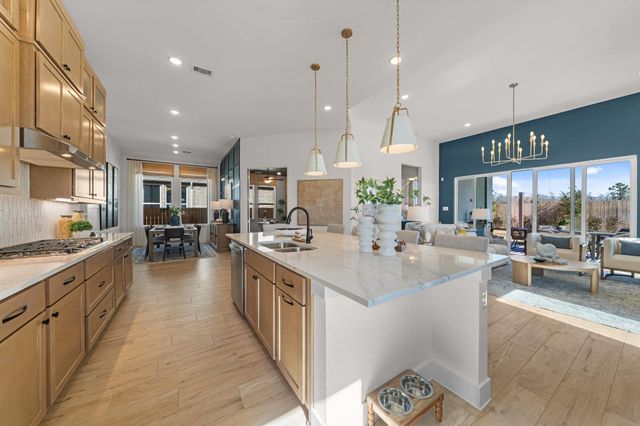 208 Montecido DR, Liberty Hill, TX 78642