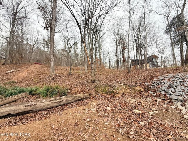 Lot 77 Indian Shadows Drive, Ten Mile, TN 37880