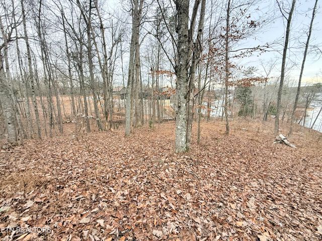 Lot 77 Indian Shadows Drive, Ten Mile, TN 37880