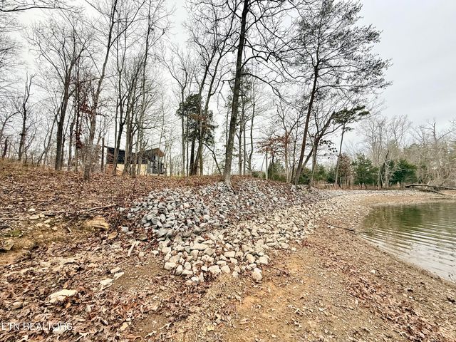 Lot 77 Indian Shadows Drive, Ten Mile, TN 37880