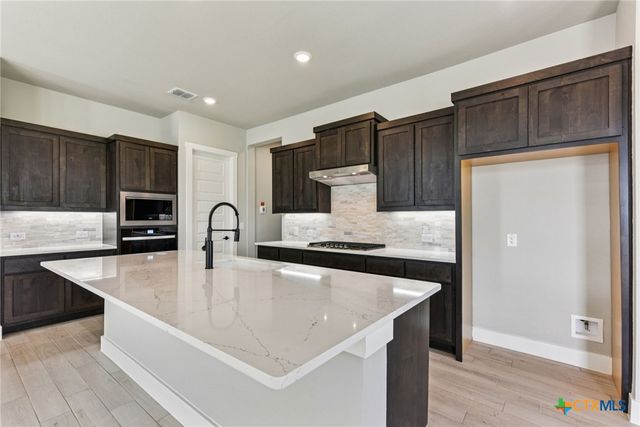 308 Olive Blossom Trail, San Marcos, TX 78666