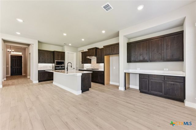 308 Olive Blossom Trail, San Marcos, TX 78666