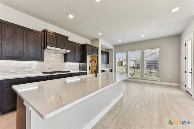 308 Olive Blossom Trail, San Marcos, TX 78666